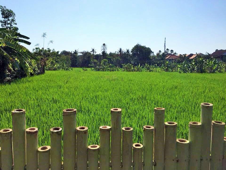 Bali Green Hostel Seminyak Zewnętrze zdjęcie