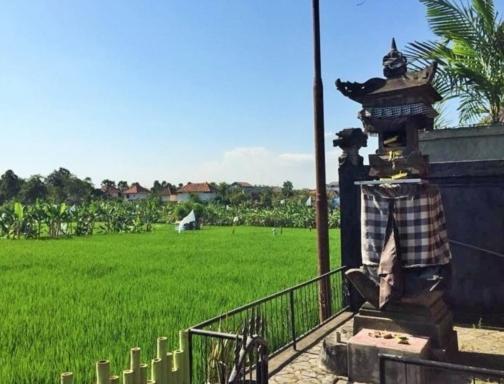 Bali Green Hostel Seminyak Zewnętrze zdjęcie
